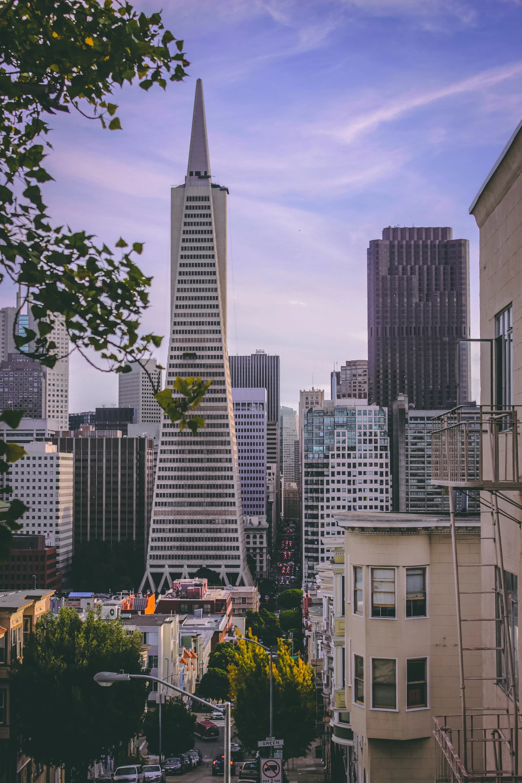San Francisco skyline with the Transamerica Pyramid